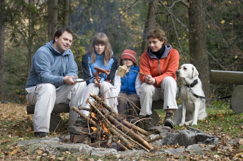 3765452 - happy family with dog near campfire