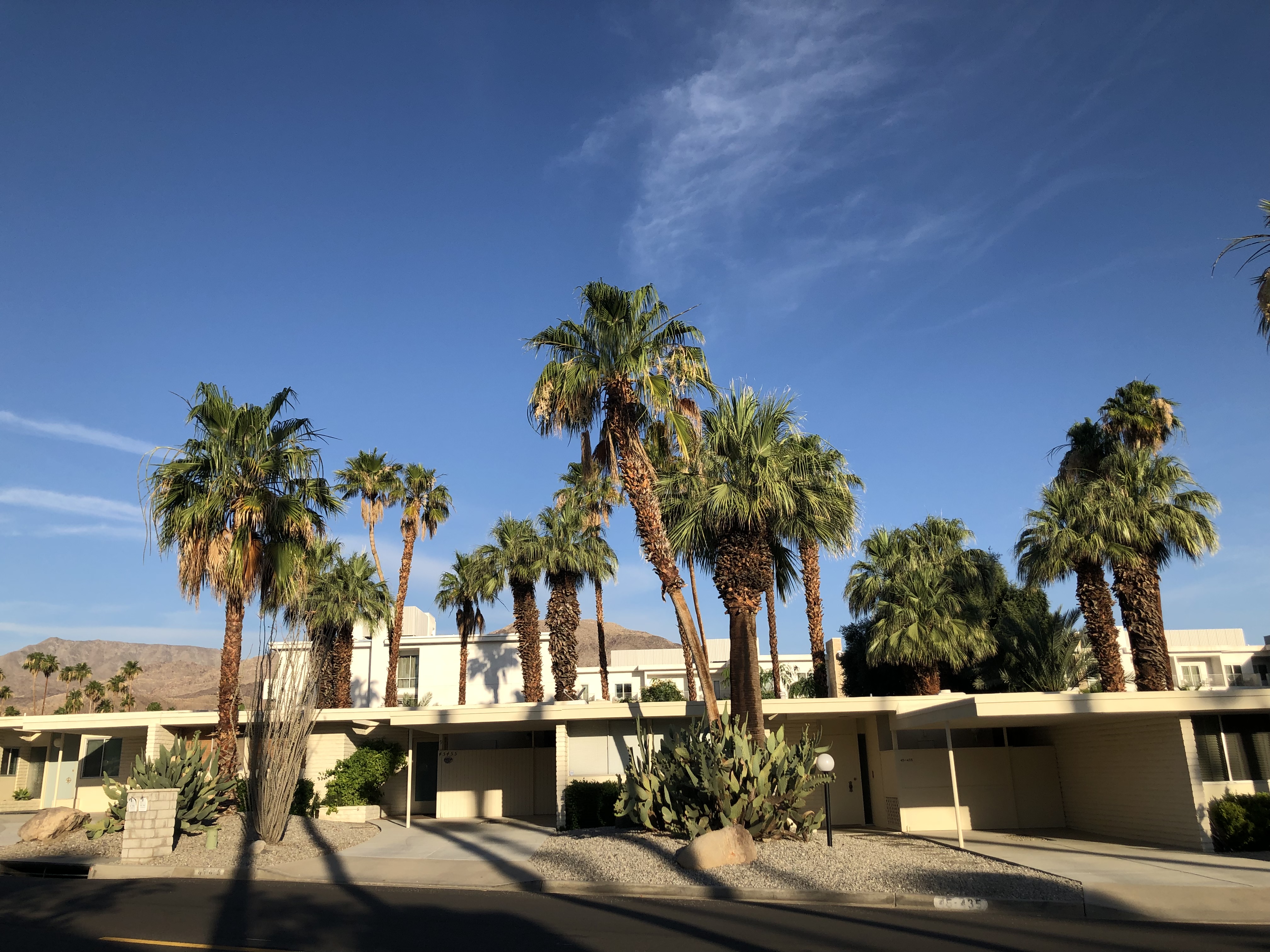Top Five Things To Do in Palm Springs