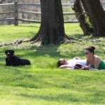 Couple-in-Grass-with-Dog_high-150x150