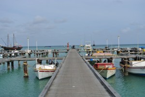 DSC_3790