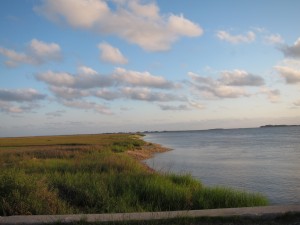 IMG_1110