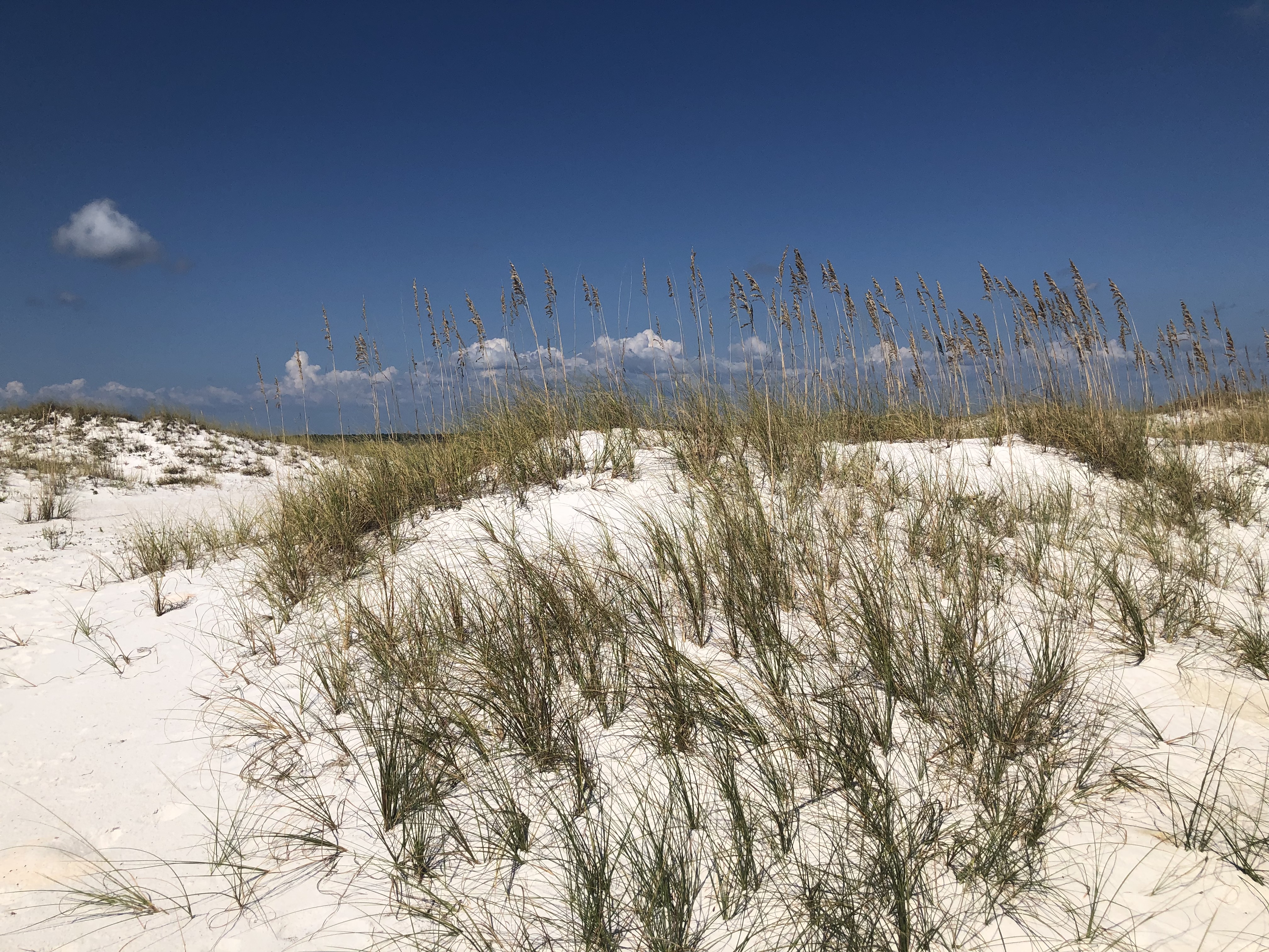 Gulf Islands National Seashore