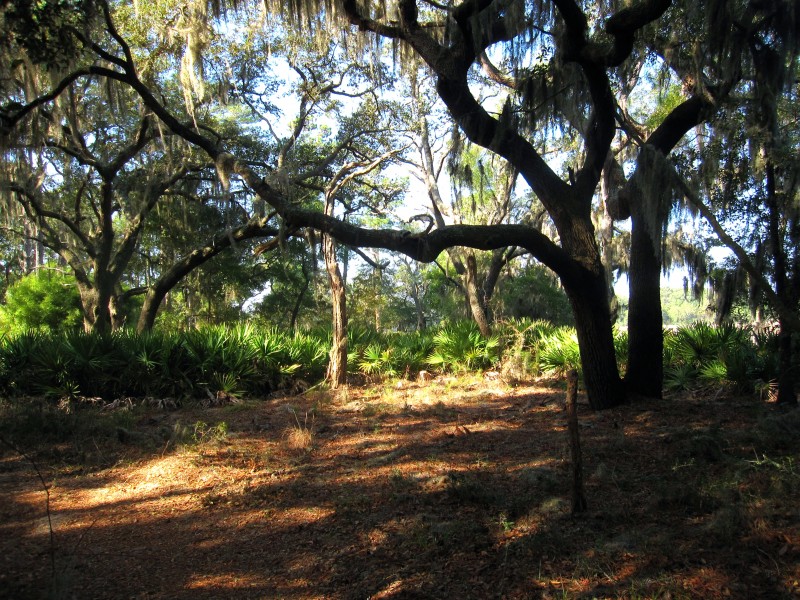 Destination:  Camping 101 – July 13