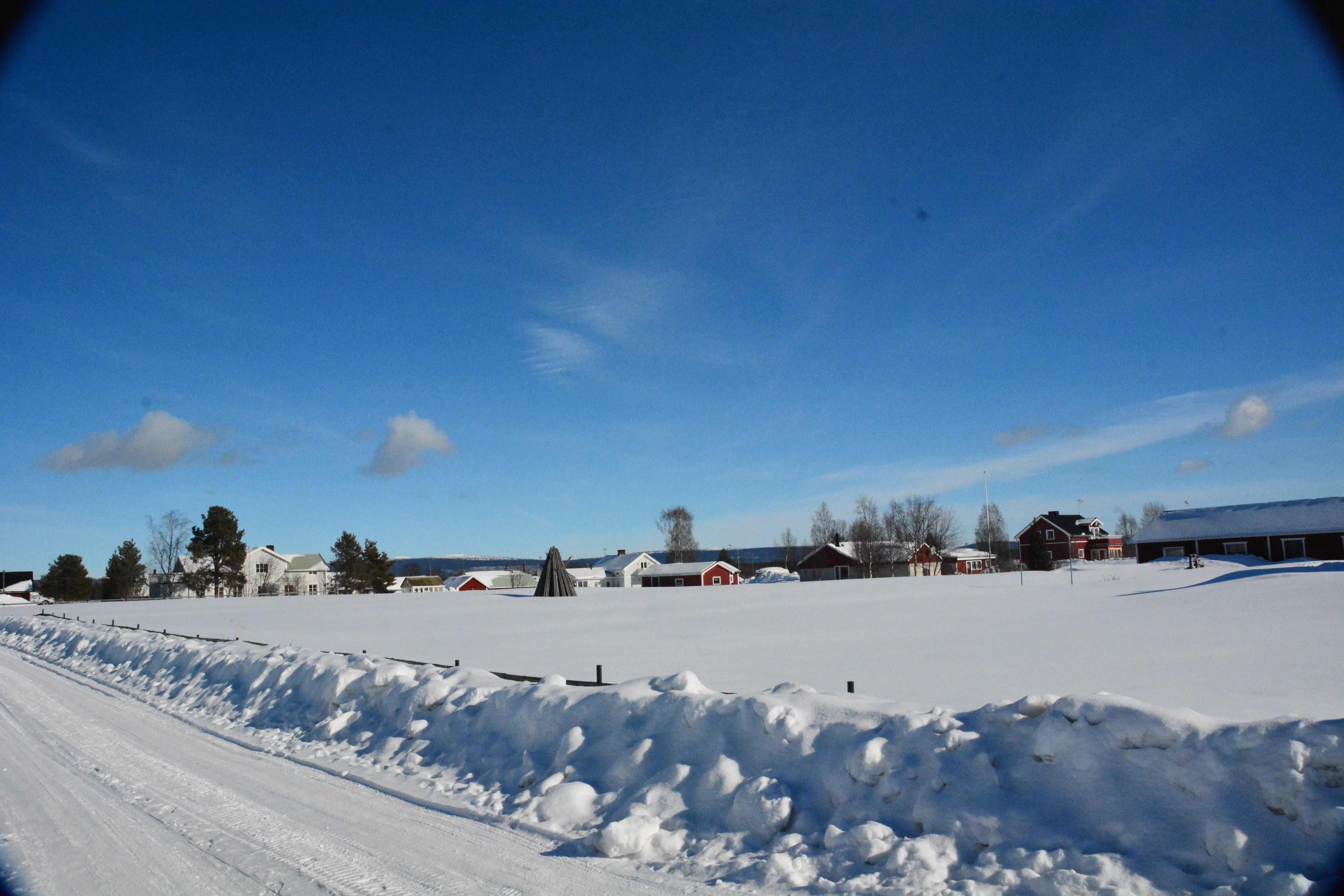 Enjoying Ski Season Near and Far