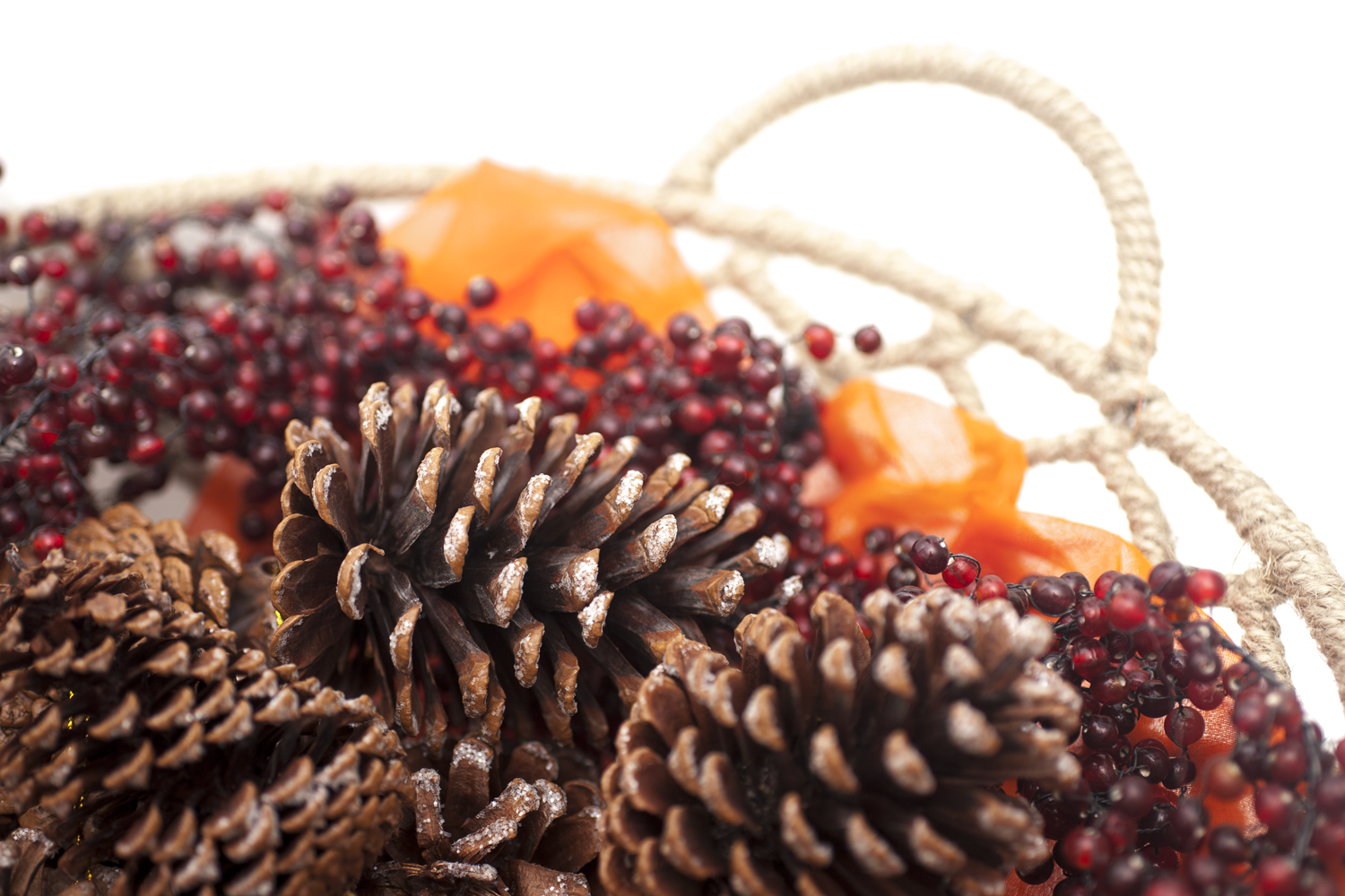 Fall is coming – Let’s Go!