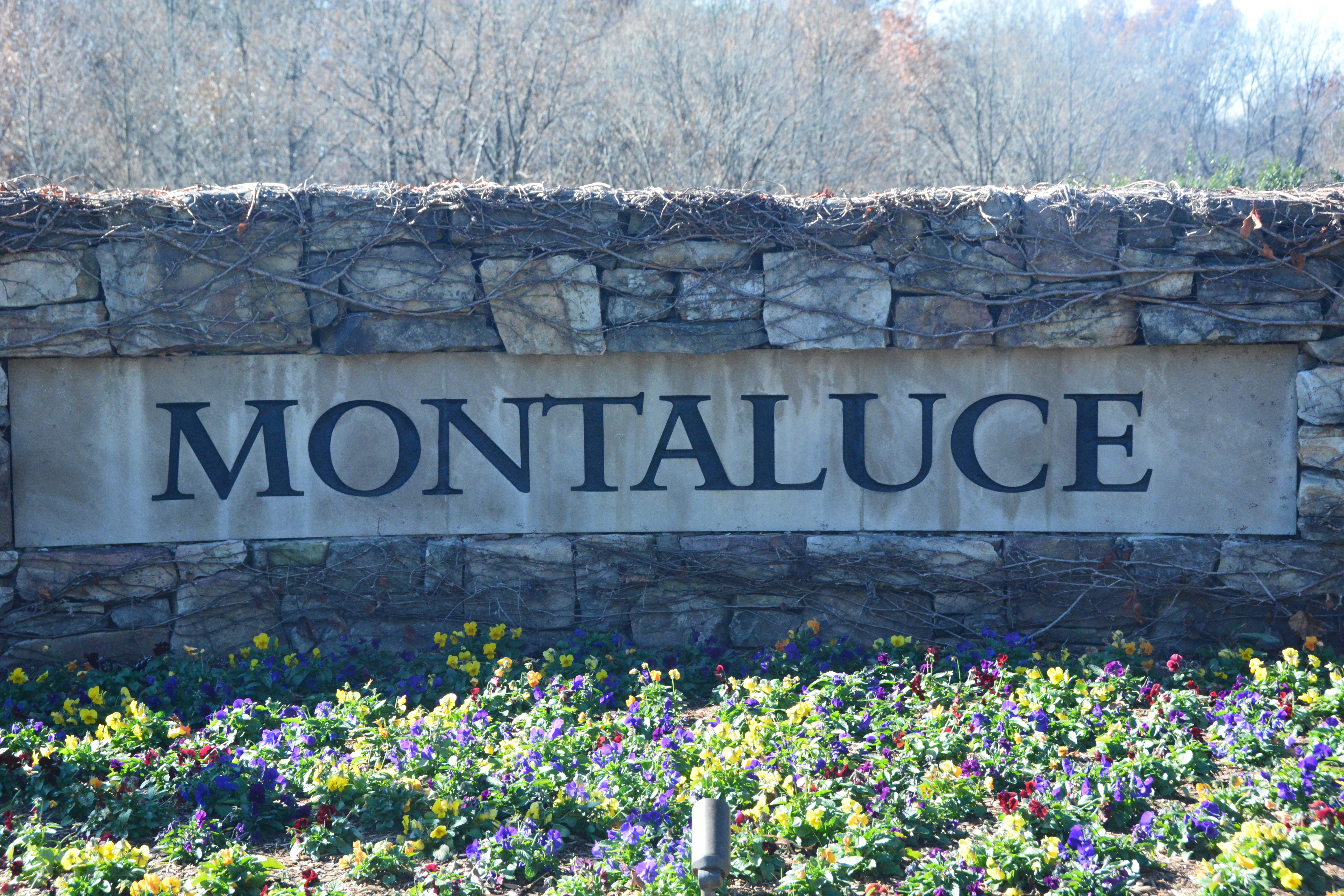 Montaluce – An Italian Delight in North Georgia