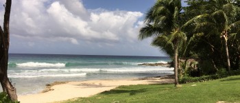Social Media for Travel Agents