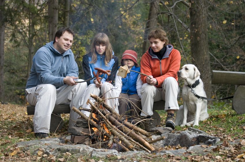How To Plan A Staycation