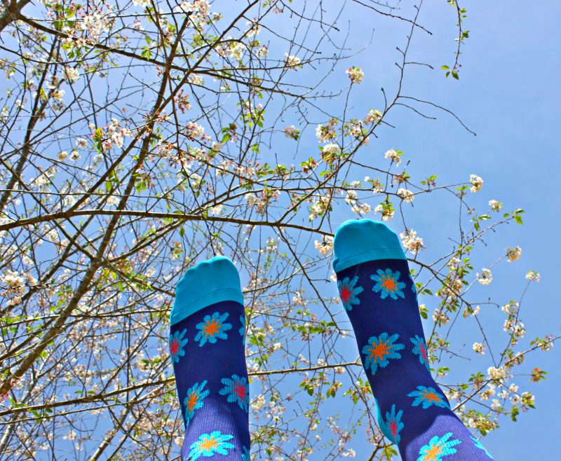www.travelwithannita.com/compressionsocks