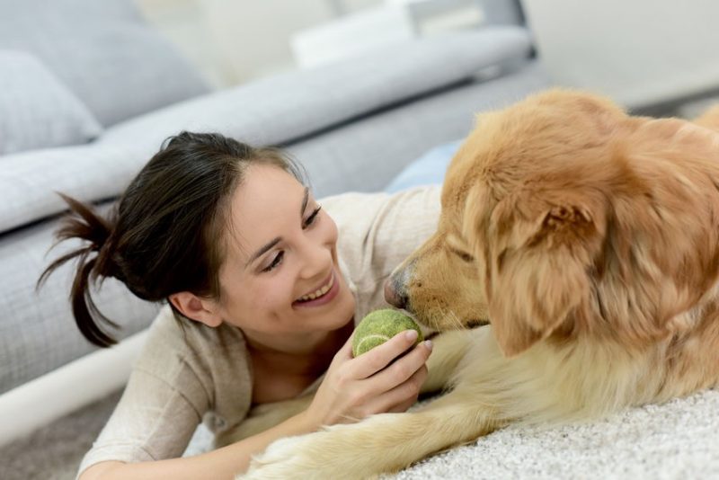 www.travelwithannita.com/dogmom