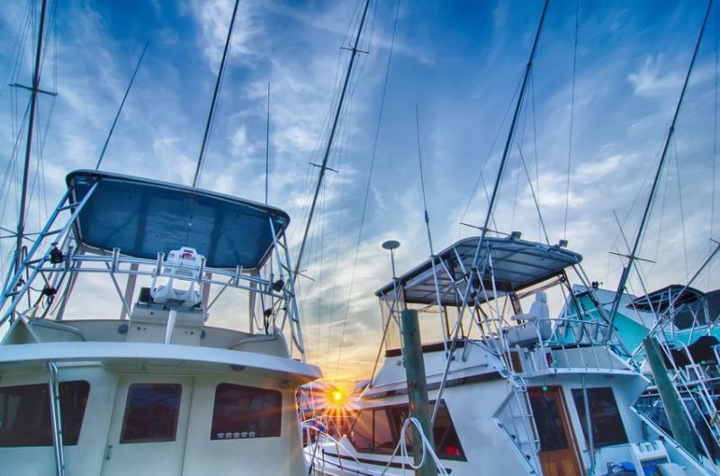 Gulf Shores Sport Fishing Deep Sea Fishing Gulf Shores Sport Fishing Deep Sea Fishing