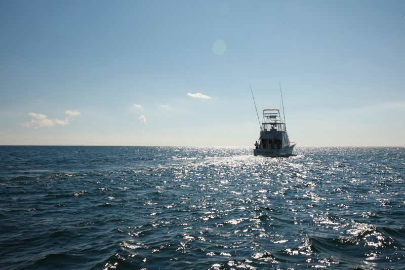 Gulf Shores Sport Fishing Deep Sea Fishing Gulf Shores Sport Fishing Deep Sea Fishing