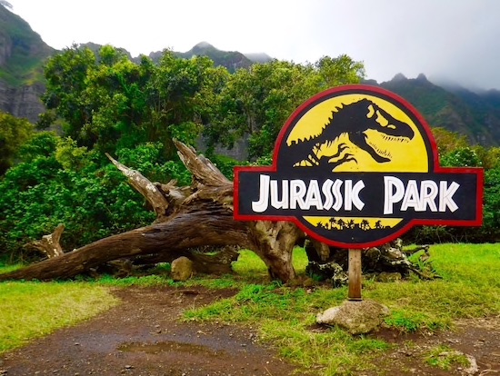 Top 8 Things on Hawaiian Island of Oahu