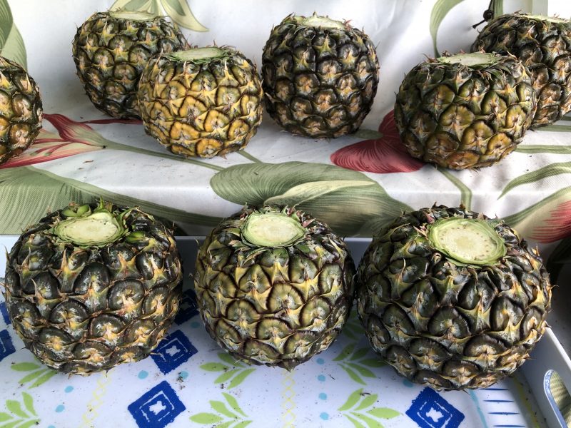 Top 8 Things on Hawaiian Island of Oahu
