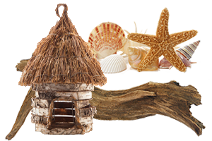 Show Love to Your Travel Destination Eco-Tourism 
