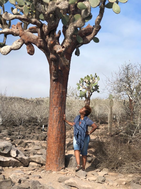 I Travel Because Annita Stokes Thomas