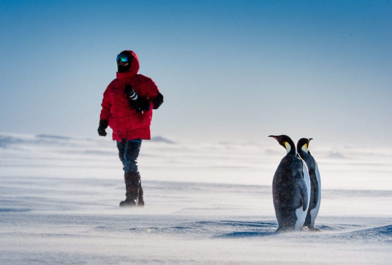 Greenland Iceland Roger Fishman