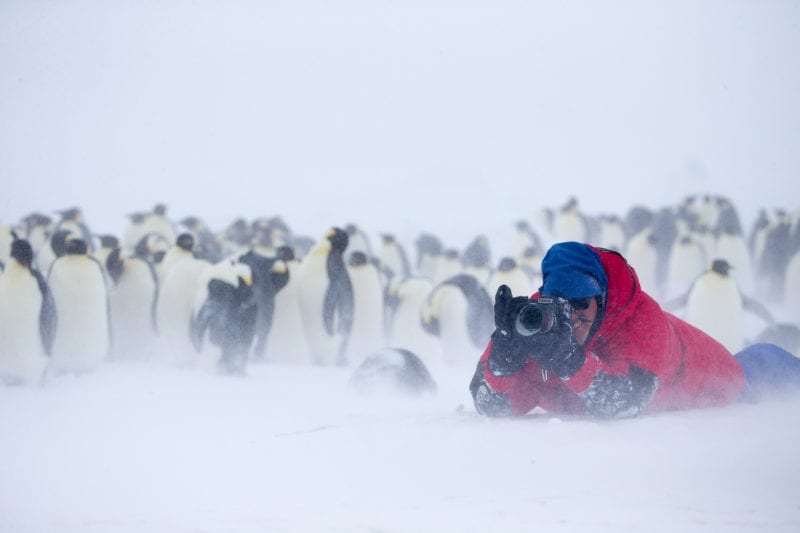 Greenland Iceland Roger Fishman