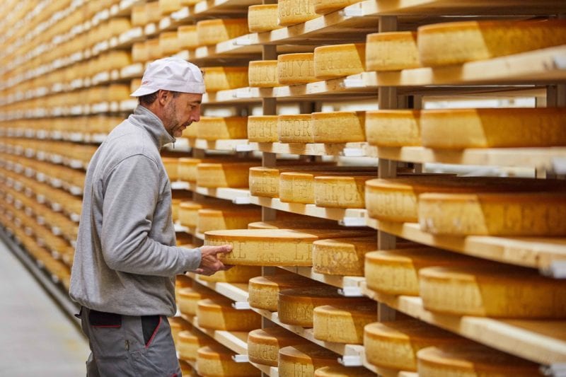 Swiss cheese emmentaler