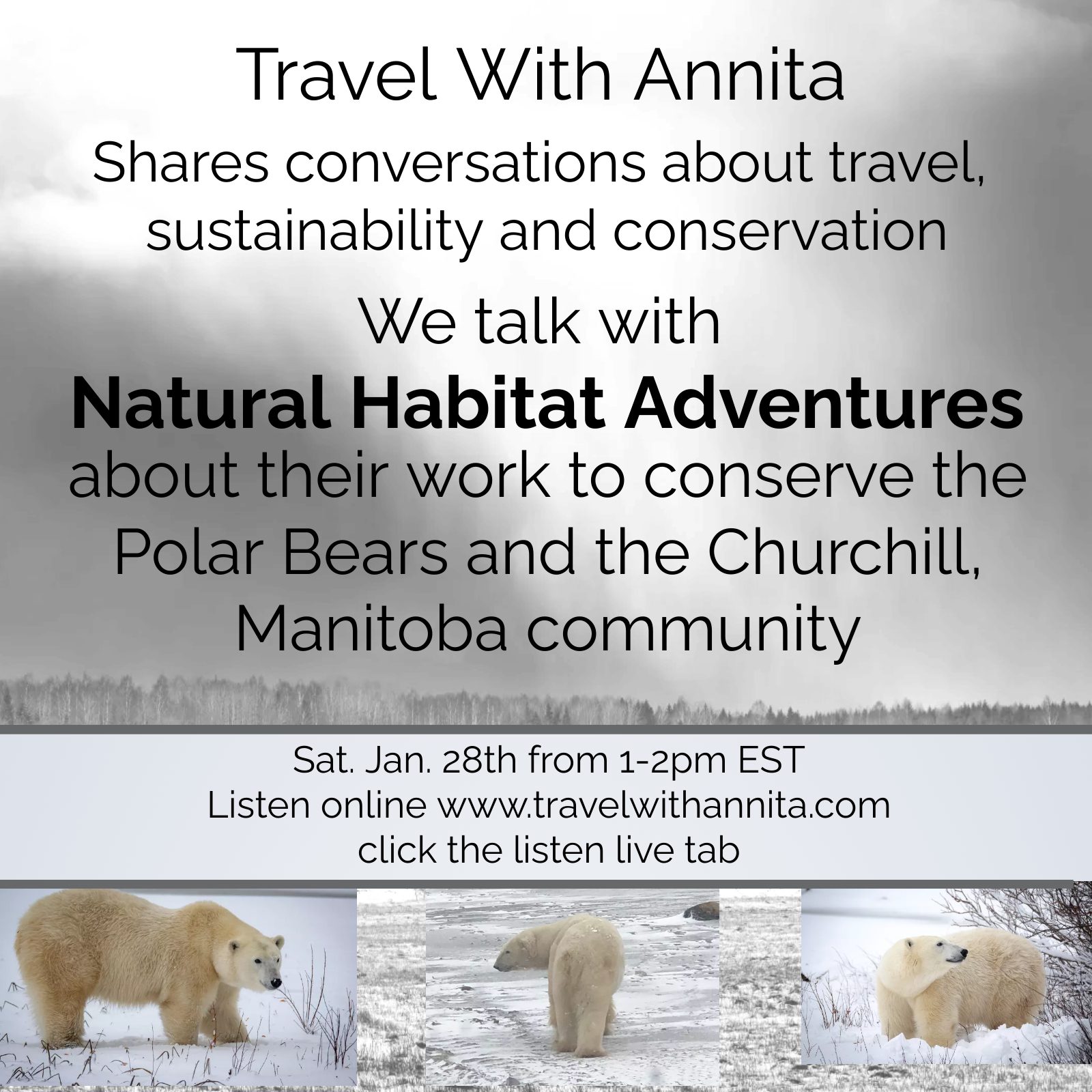 Destination:  Churchill, Manitoba to see polar bears