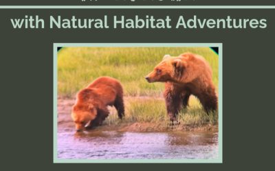 Destination: Natural Habitat Adventures Alaska Bear Camp