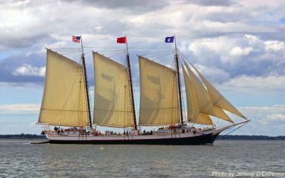 Safe and Secure At Sea