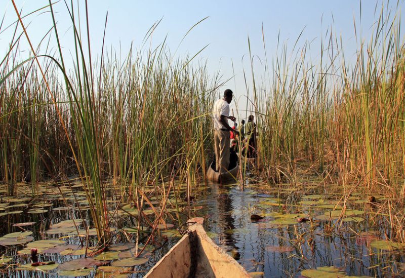Botswana and Zimbabwe - Africa's Wild Side