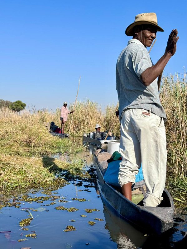 Botswana and Zimbabwe - Africa's Wild Side