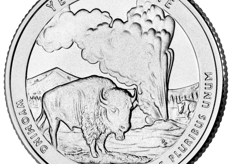 Episode 44:  Yellowstone National Park Bison and Wolves
