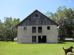 IMG_0861