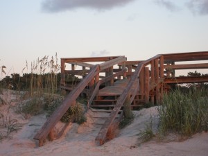 IMG_1467