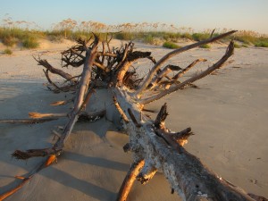 IMG_1644-Version-2