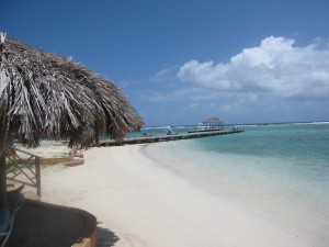 IMG_4506