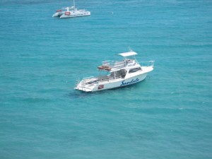 IMG_4762