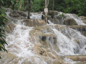 IMG_5007