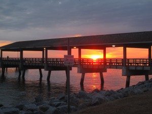 IMG_6543